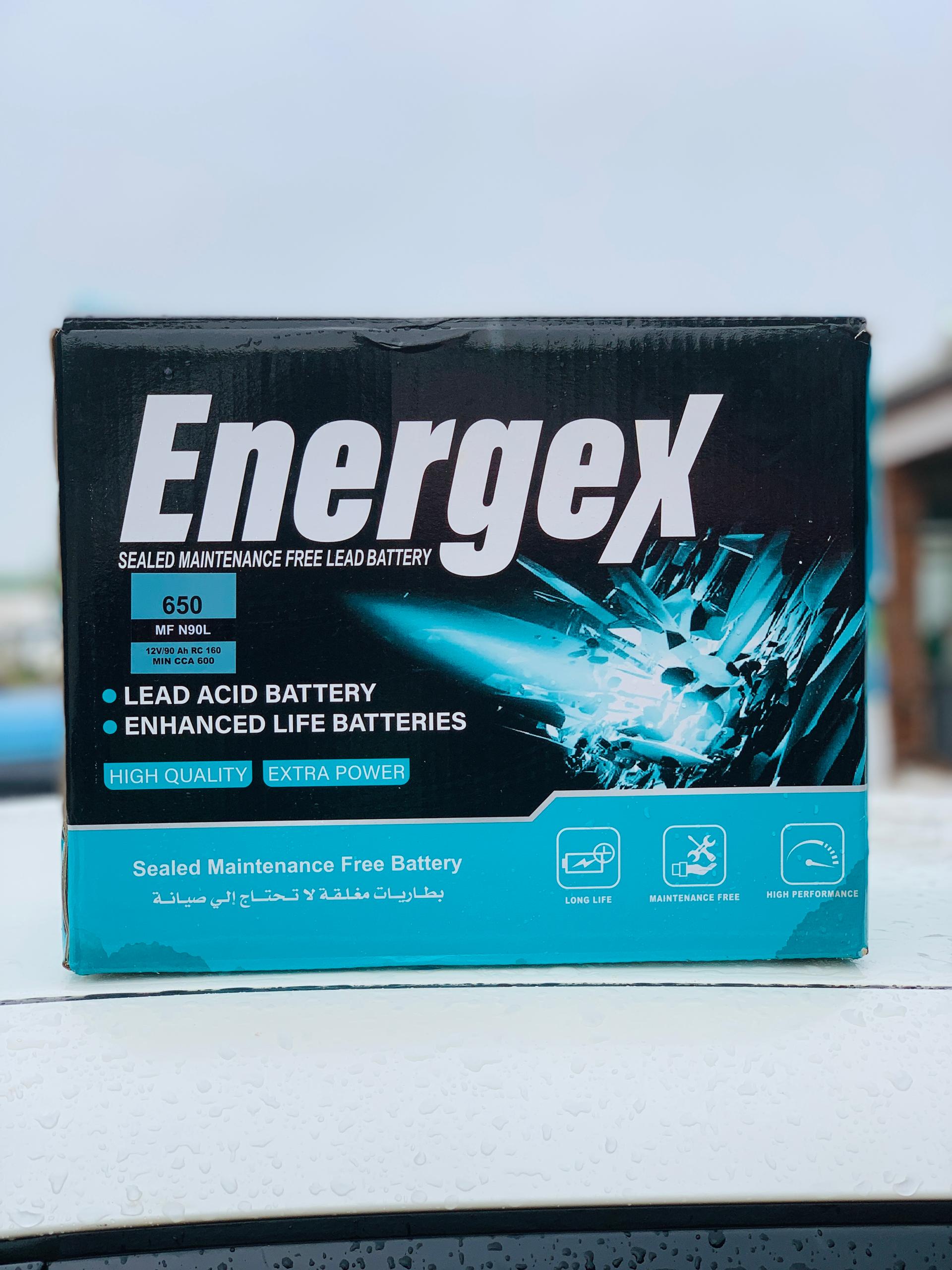 EnergeX Batteries 650