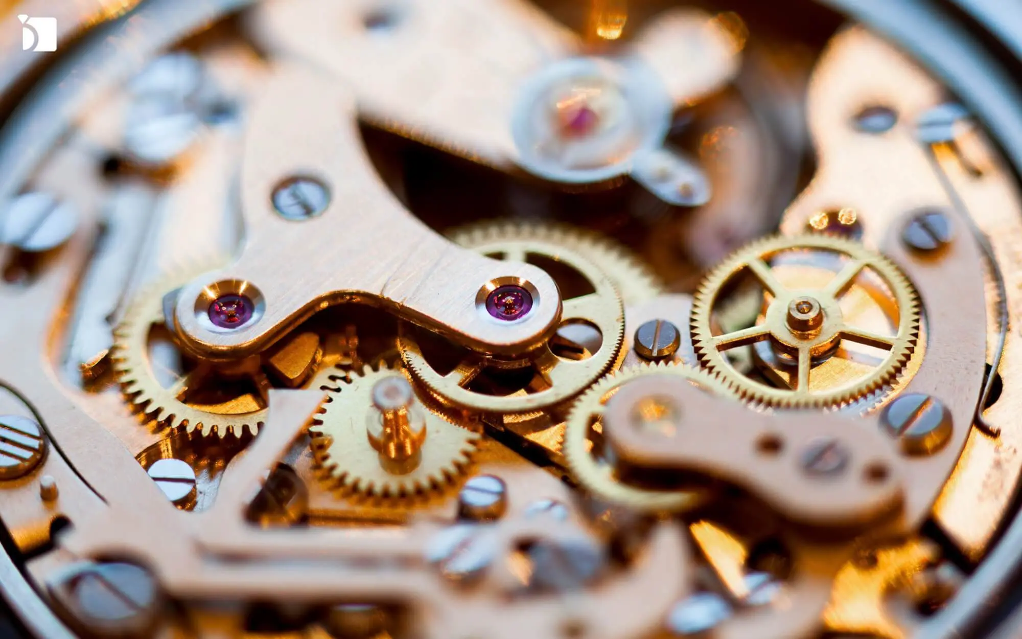 Swiss Watches Repair