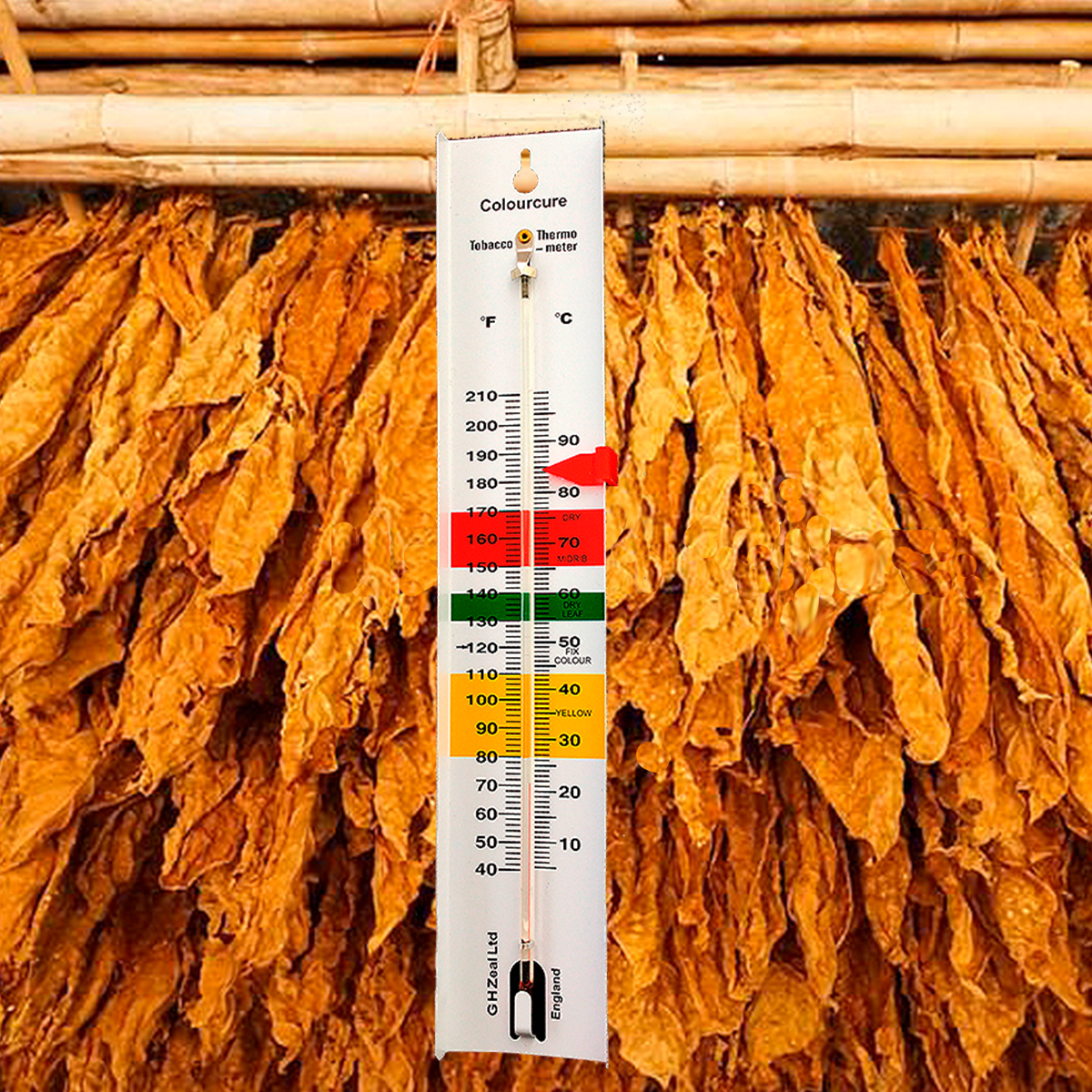 Tobacco Thermometer