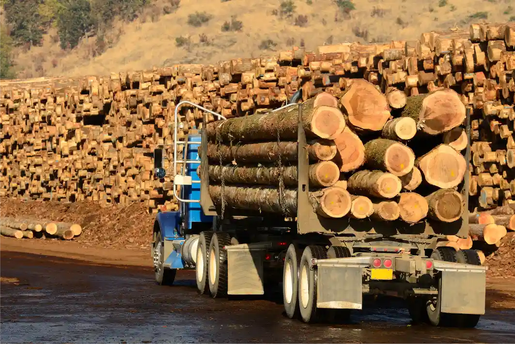 Timber Log Transport (Forest to Mill)