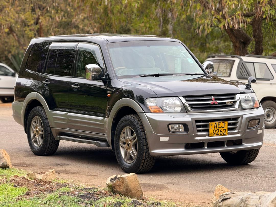 MITSUBISHI PAJARO